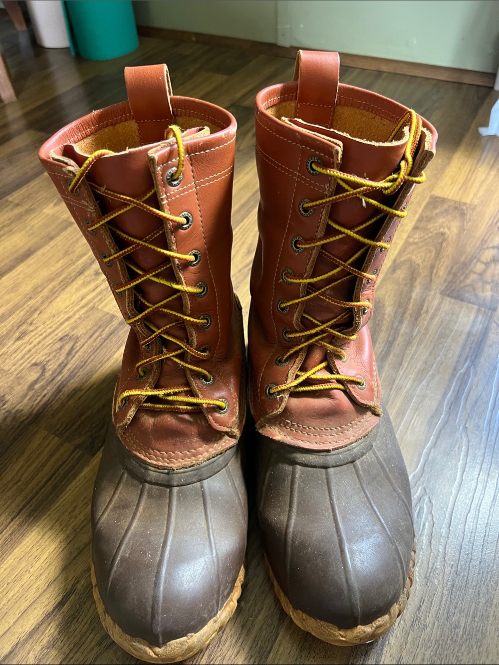 Cabela's Brown Leather Pull-On Boots with Tan Interior